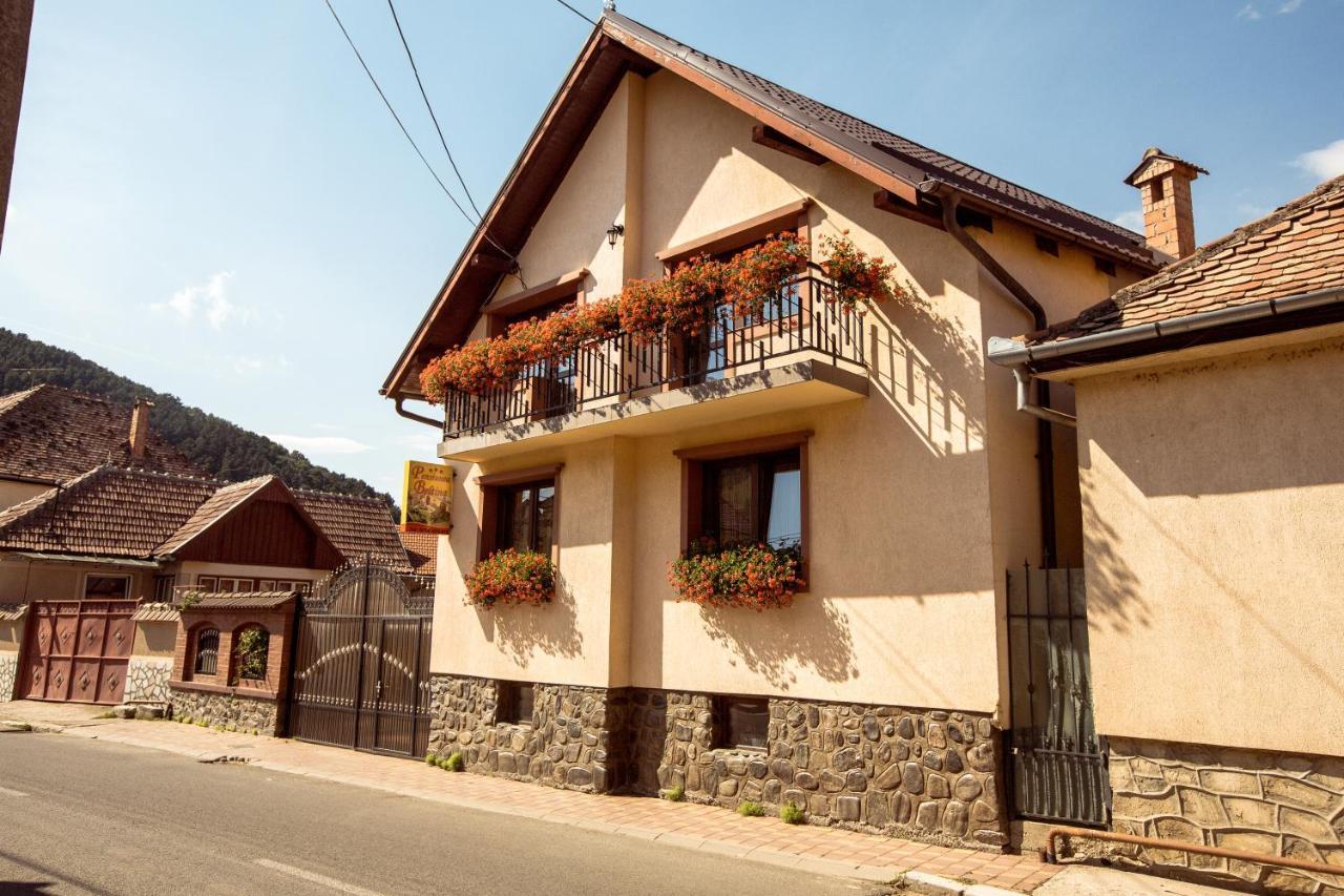 Pensiunea Beltina Rasinari Exterior photo